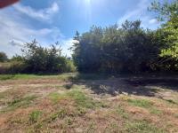 Terreno en venta en Paso Colorado, Boca del Río, Veracruz de Ignacio de la Llave Terreno en venta en Paso Colorado, Boca del Río, Veracruz de Ignacio de la Llave