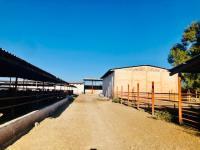 Terreno en venta en Pastor Rouaix, Gómez Palacio, Durango Terreno en venta en Pastor Rouaix, Gómez Palacio, Durango