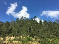 Terreno en venta en Los Lirios, Arteaga, Coahuila de Zaragoza Terreno en venta en Los Lirios, Arteaga, Coahuila de Zaragoza