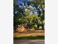 Terreno en venta en San Armando, Torreón, Coahuila de Zaragoza Terreno en venta en San Armando, Torreón, Coahuila de Zaragoza