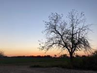 Terreno en venta en Rancho de Afuera, Matamoros, Coahuila de Zaragoza Terreno en venta en Rancho de Afuera, Matamoros, Coahuila de Zaragoza