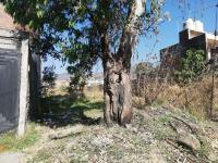 Terreno en venta en Quinceo, Morelia, Michoacán de Ocampo Terreno en venta en Quinceo, Morelia, Michoacán de Ocampo