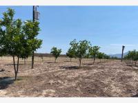 Terreno en venta en La Rosa, General Cepeda, Coahuila de Zaragoza Terreno en venta en La Rosa, General Cepeda, Coahuila de Zaragoza
