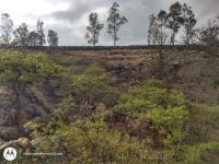 Terreno en venta en Aculco de Espinoza, Aculco, México Terreno en venta en Aculco de Espinoza, Aculco, México