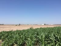 Terreno en venta en Escuadrón Doscientos Uno, Matamoros, Coahuila de Zaragoza Terreno en venta en Escuadrón Doscientos Uno, Matamoros, Coahuila de Zaragoza
