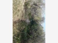Terreno en venta en Del Refugio, Parras, Coahuila de Zaragoza Terreno en venta en Del Refugio, Parras, Coahuila de Zaragoza