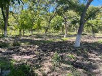 Terreno en venta en Parras de la Fuente Centro, Parras, Coahuila de Zaragoza Terreno en venta en Parras de la Fuente Centro, Parras, Coahuila de Zaragoza