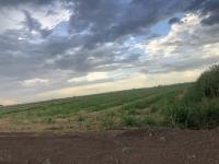 Terreno en venta en Ejido San Miguel, Matamoros, Coahuila de Zaragoza Terreno en venta en Ejido San Miguel, Matamoros, Coahuila de Zaragoza