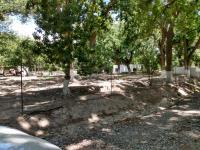 Terreno en venta en Las Palmeras, Parras, Coahuila de Zaragoza Terreno en venta en Las Palmeras, Parras, Coahuila de Zaragoza