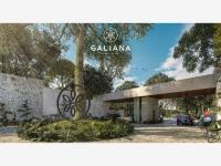 Terreno en venta en Santa Gertrudis Copo, Mérida, Yucatán Terreno en venta en Santa Gertrudis Copo, Mérida, Yucatán
