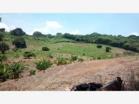 Terreno en venta en Polutla, Papantla, Veracruz de Ignacio de la Llave Terreno en venta en Polutla, Papantla, Veracruz de Ignacio de la Llave