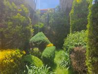 Casa en venta en Bosque de las Lomas, Miguel Hidalgo, Ciudad de México Casa en venta en Bosque de las Lomas, Miguel Hidalgo, Ciudad de México
