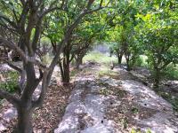 Terreno en venta en Villa de Guadalupe, Lerdo, Durango Terreno en venta en Villa de Guadalupe, Lerdo, Durango