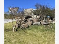 Terreno en venta en Zanda, León, Guanajuato Terreno en venta en Zanda, León, Guanajuato