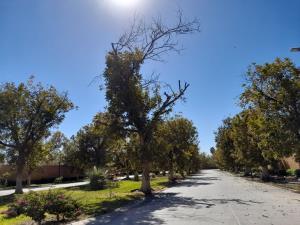 Terreno en venta en La Barranca, Torreón, Coahuila de Zaragoza Terreno en venta en La Barranca, Torreón, Coahuila de Zaragoza