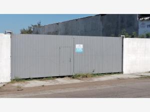 Terreno en venta en Miguel Aleman, Veracruz, Veracruz de Ignacio de la Llave Terreno en venta en Miguel Aleman, Veracruz, Veracruz de Ignacio de la Llave