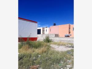 Terreno en renta en La Dalia Oriente, Torreón, Coahuila de Zaragoza Terreno en renta en La Dalia Oriente, Torreón, Coahuila de Zaragoza