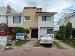 Casa en renta en San Antonio de Ayala, Irapuato, Guanajuato Casa en renta en San Antonio de Ayala, Irapuato, Guanajuato