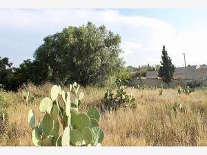 Terreno en venta en Bellavista, Saltillo, Coahuila de Zaragoza Terreno en venta en Bellavista, Saltillo, Coahuila de Zaragoza