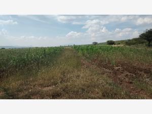 Terreno en venta en San Jose Navajas, El Marqués, Querétaro Terreno en venta en San Jose Navajas, El Marqués, Querétaro
