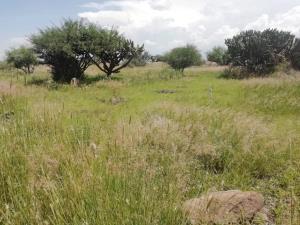 Terreno en venta en La Griega, El Marqués, Querétaro Terreno en venta en La Griega, El Marqués, Querétaro