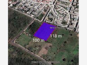 Terreno en venta en Mata de Pita, Veracruz, Veracruz de Ignacio de la Llave Terreno en venta en Mata de Pita, Veracruz, Veracruz de Ignacio de la Llave