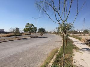 Terreno en venta en Lagos, Torreón, Coahuila de Zaragoza Terreno en venta en Lagos, Torreón, Coahuila de Zaragoza