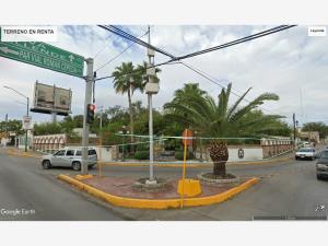 Terreno en renta en Buenavista Norte, Piedras Negras, Coahuila de Zaragoza Terreno en renta en Buenavista Norte, Piedras Negras, Coahuila de Zaragoza