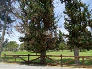 Terreno en venta en Rincon del Montero, Parras, Coahuila de Zaragoza Terreno en venta en Rincon del Montero, Parras, Coahuila de Zaragoza
