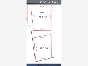 Terreno en venta en El Tajito, Torreón, Coahuila de Zaragoza Terreno en venta en El Tajito, Torreón, Coahuila de Zaragoza