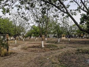 Terreno en venta en Del Perico, Parras, Coahuila de Zaragoza Terreno en venta en Del Perico, Parras, Coahuila de Zaragoza