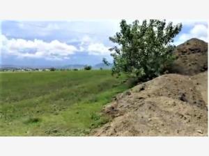 Terreno en venta en Ricardo Flores Magon, Atlixco, Puebla Terreno en venta en Ricardo Flores Magon, Atlixco, Puebla