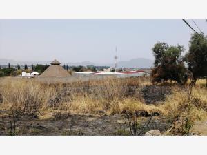 Terreno en venta en Ex Hacienda Tizayuca, Atlixco, Puebla Terreno en venta en Ex Hacienda Tizayuca, Atlixco, Puebla