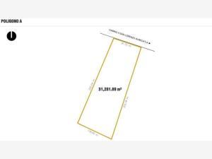 Terreno en venta en San Lorenzo Almecatla, Cuautlancingo, Puebla Terreno en venta en San Lorenzo Almecatla, Cuautlancingo, Puebla