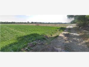 Terreno en venta en Xicohtzingo, Xicohtzinco, Tlaxcala Terreno en venta en Xicohtzingo, Xicohtzinco, Tlaxcala