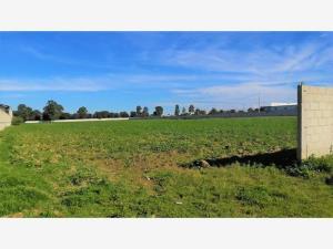 Terreno en venta en Parque Industrial Chachapa, Amozoc, Puebla Terreno en venta en Parque Industrial Chachapa, Amozoc, Puebla
