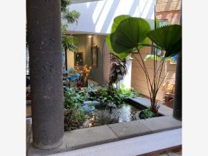 Casa en venta en Palmira Tinguindin, Cuernavaca, Morelos Casa en venta en Palmira Tinguindin, Cuernavaca, Morelos