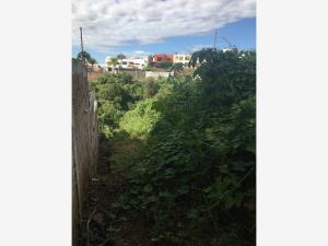 Terreno en venta en Real de Tetela, Cuernavaca, Morelos Terreno en venta en Real de Tetela, Cuernavaca, Morelos