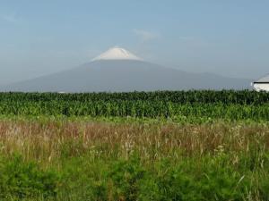 Terreno en venta en San Andrés, San Andrés Cholula, Puebla Terreno en venta en San Andrés, San Andrés Cholula, Puebla