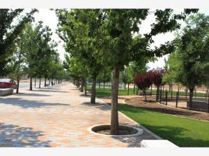 Terreno en venta en Punta Bosque, Saltillo, Coahuila de Zaragoza Terreno en venta en Punta Bosque, Saltillo, Coahuila de Zaragoza