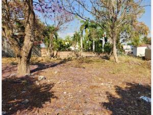 Terreno en venta en Las Palmas, Cuernavaca, Morelos Terreno en venta en Las Palmas, Cuernavaca, Morelos