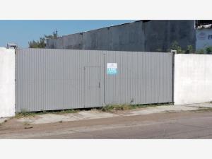 Terreno en renta en Miguel Aleman, Veracruz, Veracruz de Ignacio de la Llave Terreno en renta en Miguel Aleman, Veracruz, Veracruz de Ignacio de la Llave