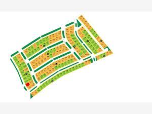 Terreno en venta en Hacienda del Rosario, Torreón, Coahuila de Zaragoza Terreno en venta en Hacienda del Rosario, Torreón, Coahuila de Zaragoza