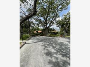 Terreno en venta en Cuernavaca Centro, Cuernavaca, Morelos Terreno en venta en Cuernavaca Centro, Cuernavaca, Morelos