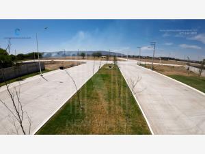 Terreno en venta en San Francisco del Rincon Centro, San Francisco del Rincón, Guanajuato Terreno en venta en San Francisco del Rincon Centro, San Francisco del Rincón, Guanajuato