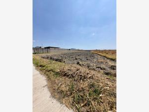 Terreno en venta en San Bernardino Tlaxcalancingo, San Andrés Cholula, Puebla Terreno en venta en San Bernardino Tlaxcalancingo, San Andrés Cholula, Puebla