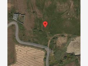 Terreno en venta en Tlaltetelco (San Miguel Tlaltetelco), Atlatlahucan, Morelos Terreno en venta en Tlaltetelco (San Miguel Tlaltetelco), Atlatlahucan, Morelos