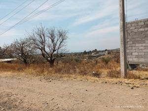 Terreno en venta en Tlaltetelco (San Miguel Tlaltetelco), Atlatlahucan, Morelos Terreno en venta en Tlaltetelco (San Miguel Tlaltetelco), Atlatlahucan, Morelos