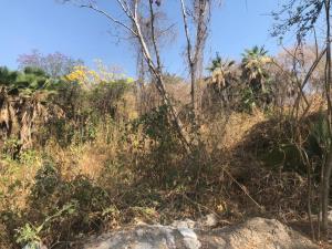Terreno en venta en Club de Golf Hacienda San Gaspar, Jiutepec, Morelos Terreno en venta en Club de Golf Hacienda San Gaspar, Jiutepec, Morelos