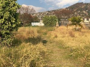 Terreno en venta en Tamoanchan, Jiutepec, Morelos Terreno en venta en Tamoanchan, Jiutepec, Morelos